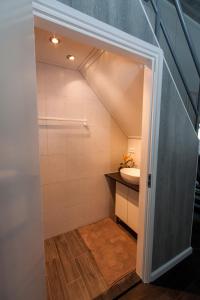 a bathroom with a shower with a sink and a toilet at Holiday Home Odoorn in Odoorn +14 photos