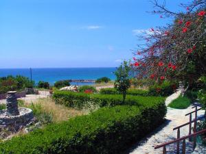 a garden with red flowers and the ocean in the background at Zorbas Rooms in Frangokastello