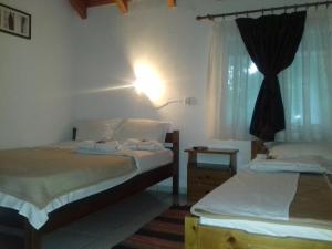 a bedroom with two beds and a light on the wall at Amarantos in Loutra Amarantou