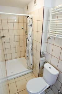 a bathroom with a toilet and a shower at Osrodek Rehabilitacyjno-Wypoczynkowy FAMA-STA in Mrzeżyno