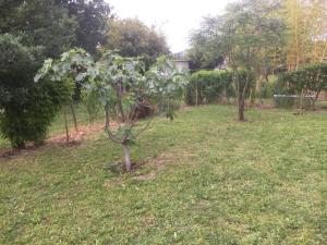 Zahrada ubytování B&B San Giorgio