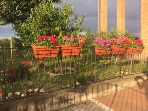 Zahrada ubytování B&B San Giorgio