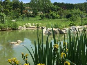 a pond in a garden with flowers in the foreground at La Source, Vegetarian Guest House in Chabeuil