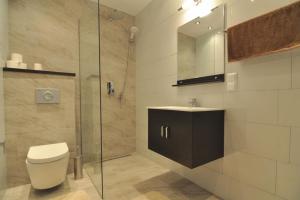 a bathroom with a shower and a toilet and a sink at Sarajevo Luxury Apartments in Sarajevo +63 photos