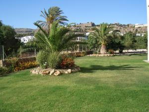 a lawn with palm trees and rocks in a yard at Sifis Studios Pefkos in Pefki Rhodes