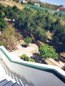 Zahrada ubytování Eleni Hotel