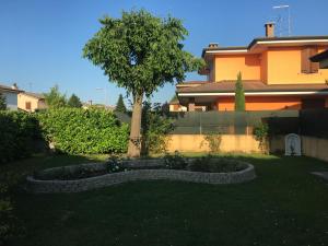 a tree in a yard next to a house at Ca' Le Rose in Bagnolo San Vito