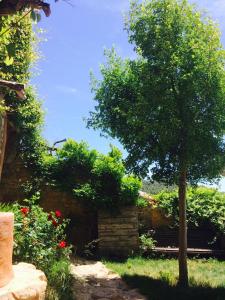 un árbol y un banco en un jardín en Can Sulo, en Vallbona de les Monges