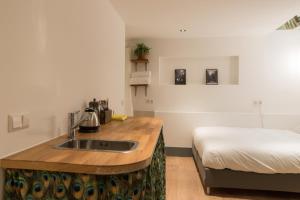 een keuken met een wastafel en een bed in een kamer bij Saint Claire Studio in Amsterdam