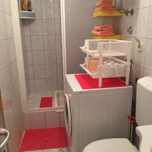 ein Bad mit einer Waschmaschine und einer Dusche in der Unterkunft Apartment Jurja in Povljana