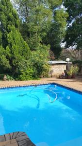 a large blue swimming pool with trees in the background at Little Acorn Guest House in Welkom