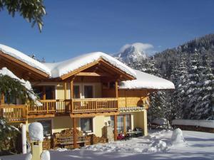 domek z bali w śniegu z górą w obiekcie Haus Dachstein w mieście Filzmoos