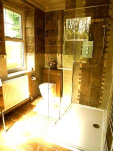 a bathroom with a toilet and a glass shower at Broadway House in Laugharne