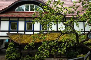 奈达Hotel Jelita的相册照片