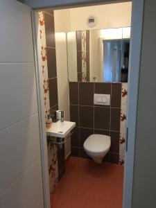 a bathroom with a toilet and a sink and a mirror at Appartement des trois frontières in Apach