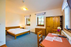 a bedroom with a bed and a table and a desk at Apartmány Udatný in Rokytnice nad Jizerou