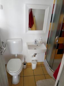 y baño con aseo, lavabo y ducha. en Tiny house with a big heart en Postojna