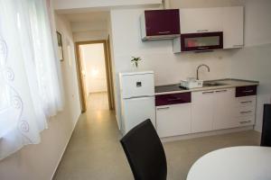 Kuchyň nebo kuchyňský kout v ubytování Apartments Lovor