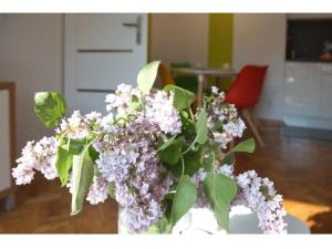 Fotografia z galérie ubytovania Nowolipie Warsaw Apartment vo Varšave