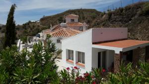 Príroda v okolí of the bed and breakfast