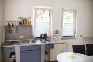 Kuchyň nebo kuchyňský kout v ubytování Apartments Villa Majda