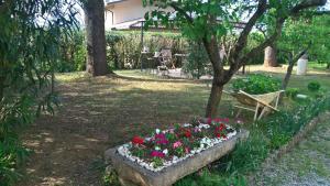 Zahrada ubytování B&B Il Glicine