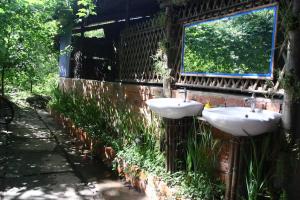 Zahrada ubytování Mekong Rustic Cai Be