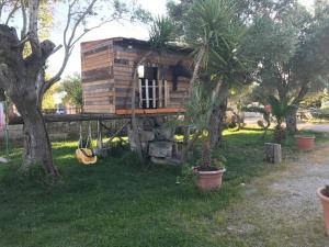 サンタ・カテリーナ・ディ・ナルドにあるCasa vacanze Porto Selvaggioのヤシの木の庭の木家