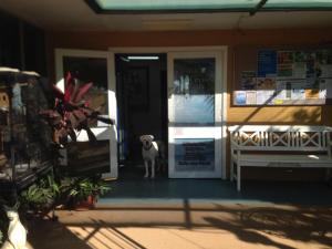 Ένα ή περισσότερα κρεβάτια σε δωμάτιο στο Carnarvon Caravan Park