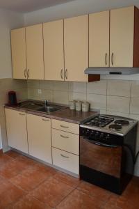 Kuchyň nebo kuchyňský kout v ubytování Accommodation Drasko