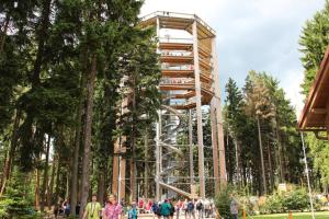 Hosté ubytování Apartmán Lipno A12