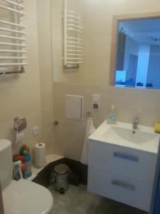 a bathroom with a white sink and a toilet at Apartament Rega Mrzeżyno in Mrzeżyno