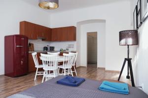Kuchyňa alebo kuchynka v ubytovaní Apartment Gesse Jirsikova