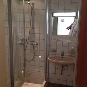 La salle de bains est pourvue d'une douche et d'un lavabo. dans l'établissement Hotel Sonnenhof, à Thannhausen