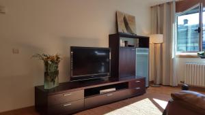 a living room with a flat screen tv on a entertainment center at Apartment Plaza Fernando in Vigo