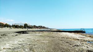 a sandy beach next to the ocean with a pier at Olosuites in Limassol