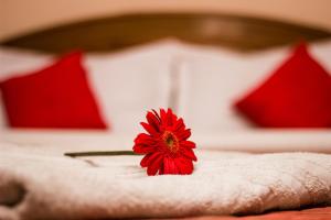 Voodi või voodid majutusasutuse Hotel Kamal toas