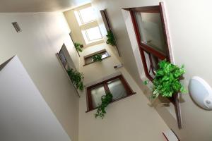 Kúpeľňa v ubytovaní Apartamenty Szabla Bydgoszcz