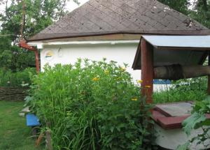 a garden with a bird house in a yard at Kалиновий Kущ in Dmitrenki