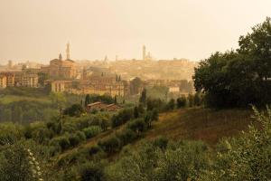 
a city with trees and buildings at Agriturismo Colombino in Siena
