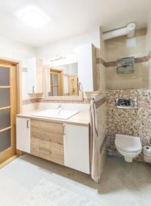 a bathroom with a sink and a toilet at Apartman Zacler v Krkonosich in Žacléř