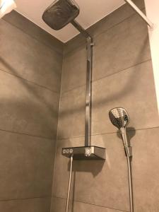 a shower with a shower head in a bathroom at SWISS LOFT by Europa-Park - EP Ticket Garantie in Rust +30 photos