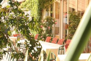 Zahrada ubytování Hotel Walkner