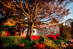 Giardino di Hotel Antumalal