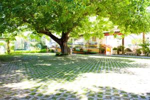 Um jardim em Hotel Casa da Nora