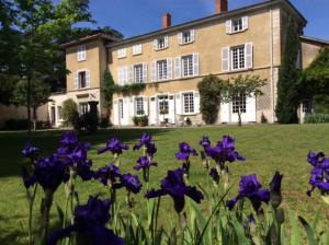 um campo de flores roxas em frente a uma casa em Le clos saint Genois em Saint-Genis-Laval