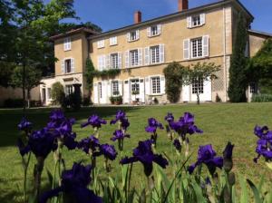 un champ de fleurs violettes devant une maison dans l'établissement Le clos saint Genois, à Saint-Genis-Laval