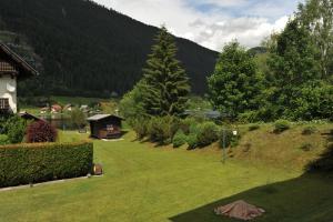 Paesaggio naturale nelle vicinanze dell'affittacamere