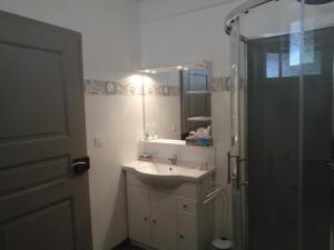 een badkamer met een wastafel en een douche met een spiegel bij Studio Gite Fischer Ottrott in Ottrott