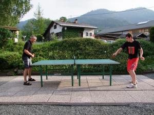 Attrezzature per ping pong presso Pension Seeheim o nelle vicinanze